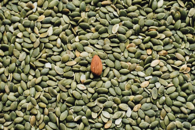 Are Pumpkin Seeds Good For Hair Loss