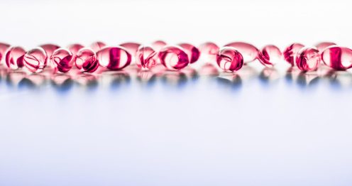 Best Probiotics For Gut Health